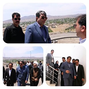 ۷ میلیارد تومان تا نجات جنگل‌های جنوب شرق | خبر کرمان