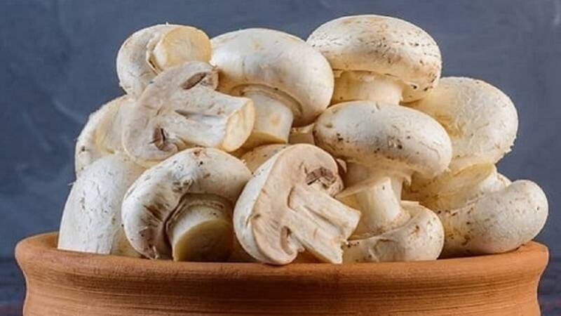 قارچ گران شد؛ قیمت مصرف کننده کیلویی چند؟