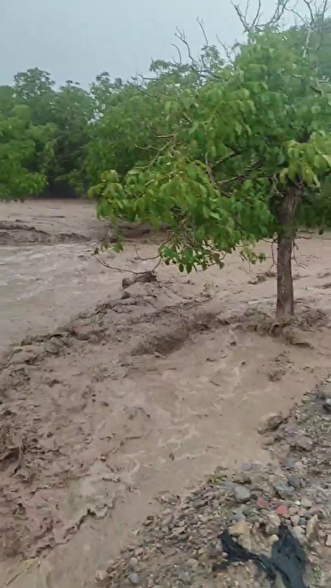 مدیرکل بحران کرمان: سیل اخیر در بافت، رابر، ارزوئیه و جیرفت خسارت جانی نداشت؛ هشدار درباره بارندگی‌های آتی