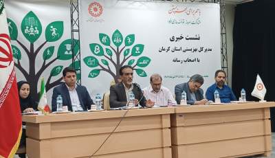 سهم خانواده‌های گسسته در خودکشی‌ها بسیار بالا است | اخبار استان کرمان