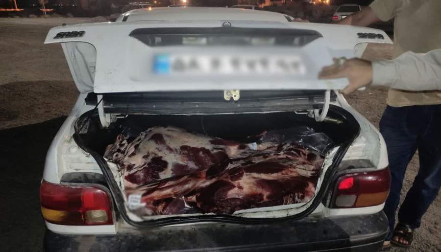 پایان سفر شبانه گوشت‌های غیرمجاز در صندوق عقب | اخبار استان کرمان