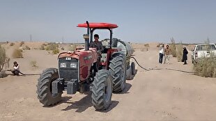 بیابان زدایی مطالبه مردمی شهرستان‌های شرقی کرمان | خبر کرمان