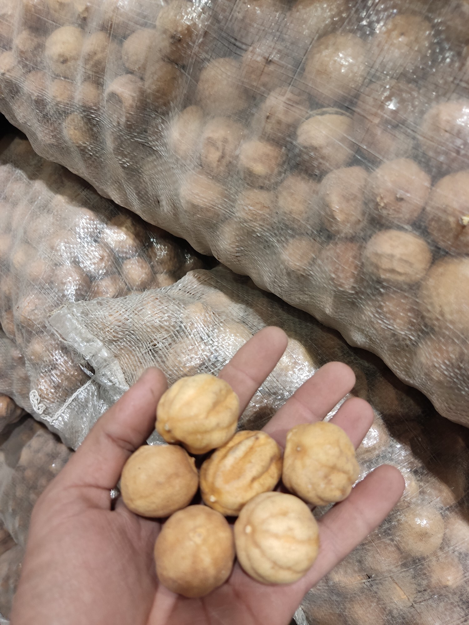 کشف انبار ۱۶۰ تنی لیموی خشک غیربهداشتی در جیرفت؛ محموله در آستانه توزیع کشوری بود