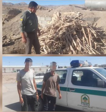 کشف کوره‌های ذغال سوزی چوب درخت جنگلی تاغ در منطقه کشکوئیه  | اخبار رفسنجان