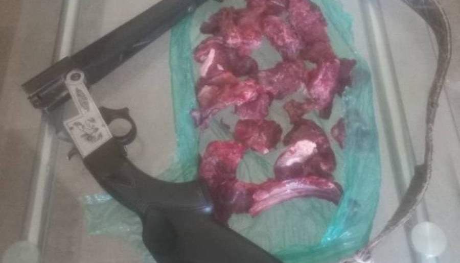 دستگیری شکارچی غیرمجاز در رودبار جنوب | اخبار استان کرمان