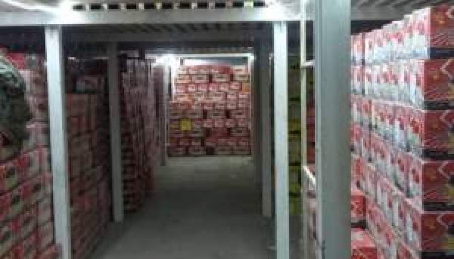 هشدار دادستان به سردخانه‌داران ریگانی | اخبار استان کرمان