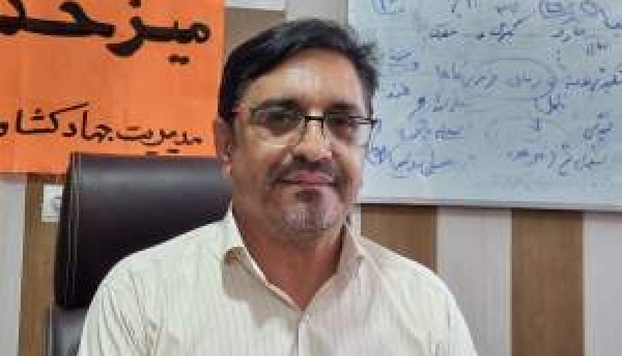 ۶۰ میلیون کیلو سربرگ نخل بلااستفاده است | اخبار استان کرمان