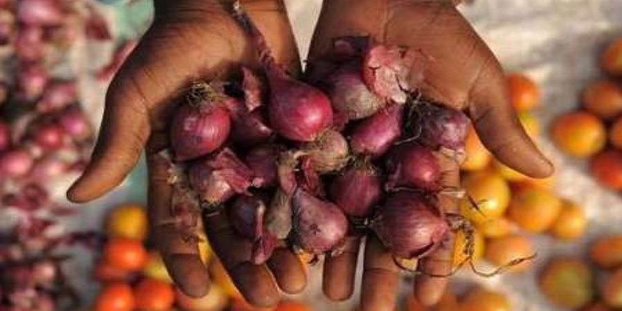 ضایعات صدها هزار تنی در قطب کشاورزی کرمان؛ کارشناس اقتصادی: راه نجات، توسعه فوری صنایع تبدیلی است