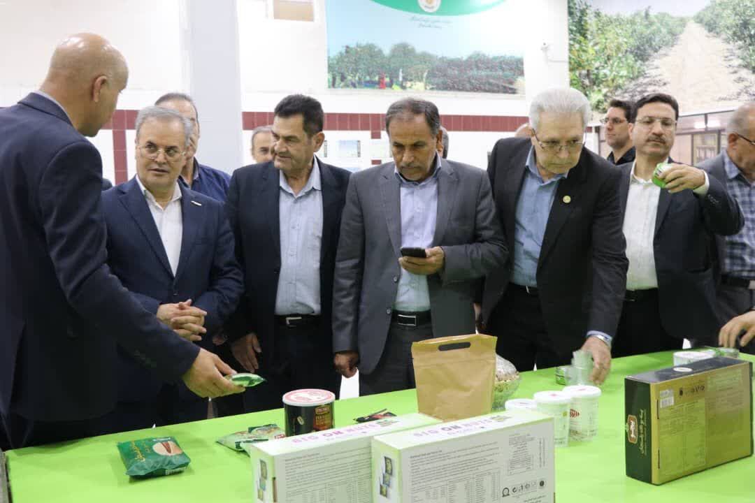 معاون وزیر کشاورزی: با یکپارچه‌سازی تعاونی‌ها و الگوی کشت نوین، بحران آب را مدیریت می‌کنیم