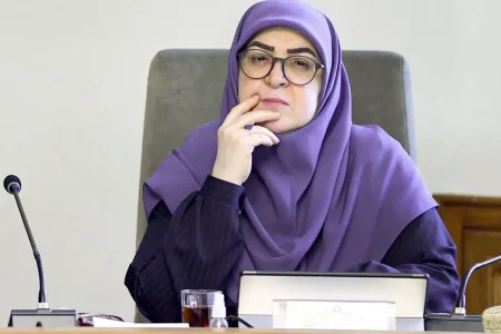 سخنگوی دولت : لغو کنسرت همایون شجریان، در اختیار دولت نبود ؛ متأسفیم