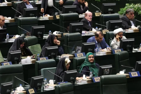 آغاز جلسه علنی مجلس/ لایحه «ساماندهی پهپادهای غیرنظامی» امروز بررسی می شود