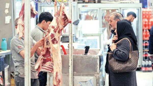 فنر خوراک دام پرید، گوشت گران شد