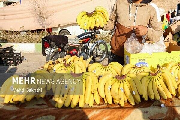 ثبت سفارش موز، قهوه و دانه کنجد فردا آغاز می‌شود