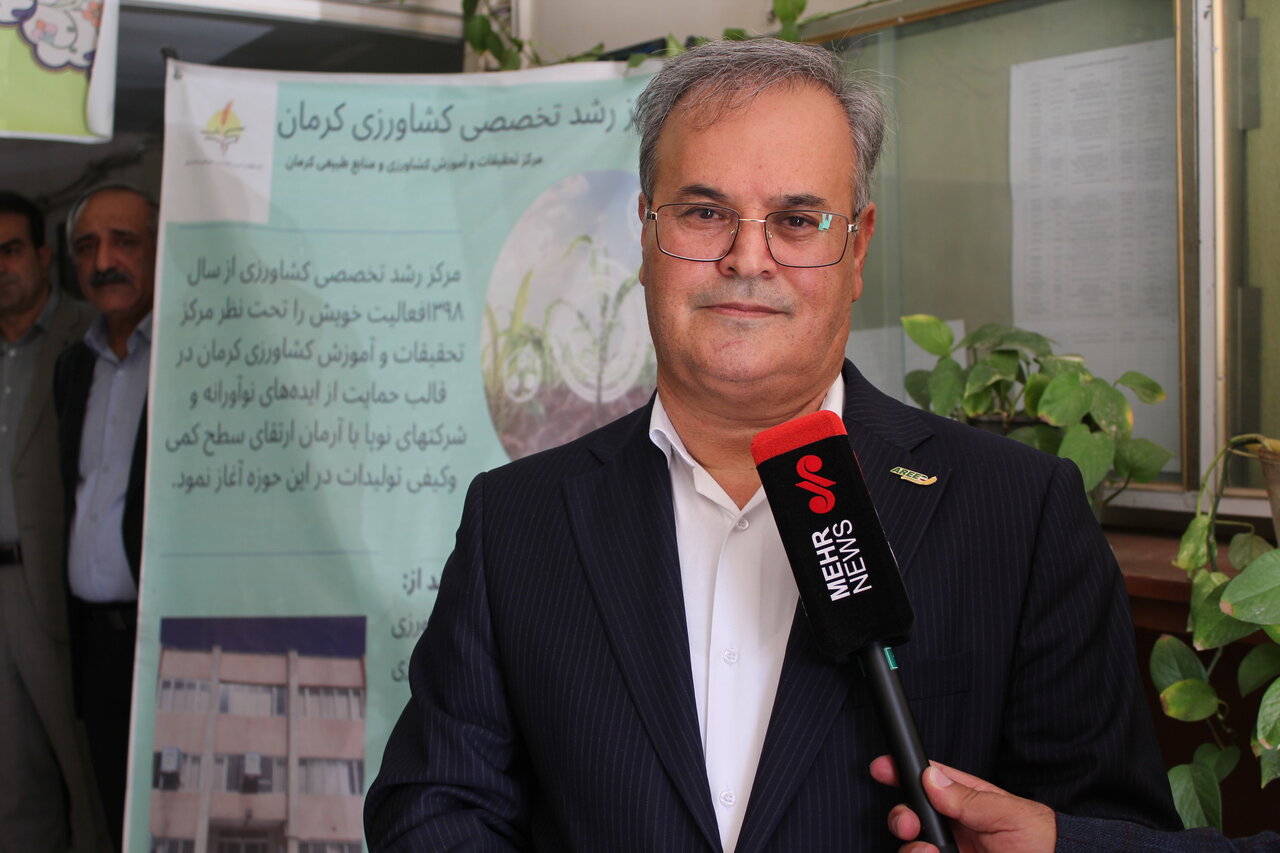 معاون وزیر کشاورزی: با پایش ماهواره‌ای و الگوی کشت نوین، بحران پیاز جیرفت تکرار نخواهد شد