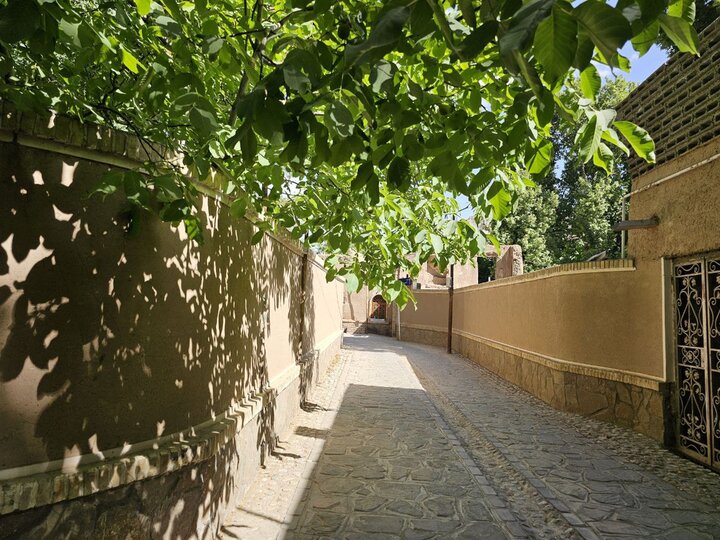 یک روستا با دو برج تاریخی برای دیده‌بانی | خبر کرمان