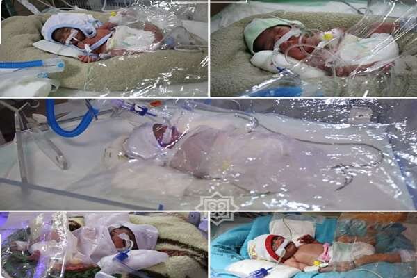 تولد پنج‌قلوهای کرمانی؛ از شادی یک تولد نادر تا ضرورت حمایت‌های قانونی