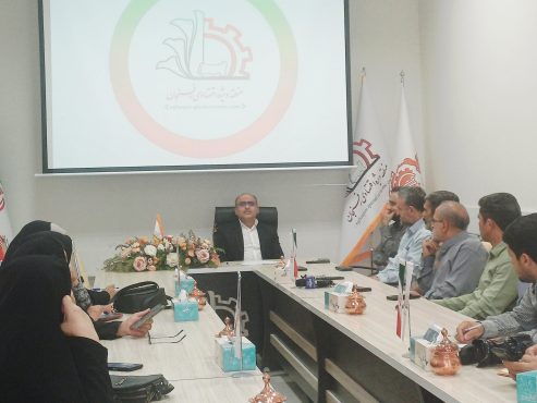 مدیرعامل منطقه ویژه اقتصادی رفسنجان مطرح کرد:مجموعه مس دریایی از فرصت است/ فکر نخبگانی به کمک رونق منطقه آید | اخبار رفسنجان