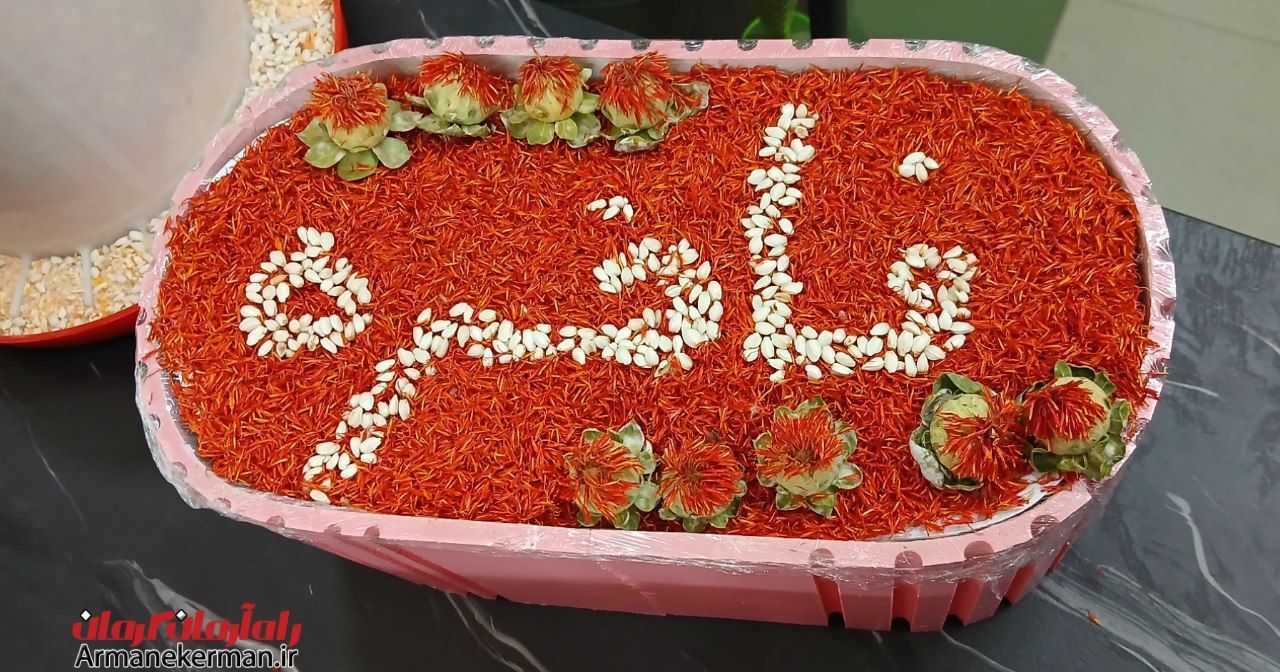 تولید روغن از گل‌خشت برای اولین‌بار در کرمان | اخبار استان کرمان