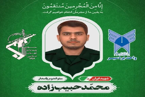 روایت مادرانه در خانه شهید محمد حبیب‌زاده | اخبار استان کرمان