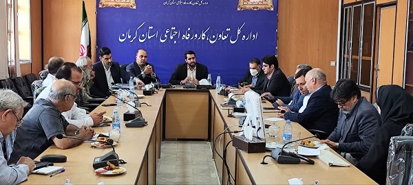 ۱۷ تعاونی طی ۵ ماه عارضه‌یابی شدند | اخبار استان کرمان