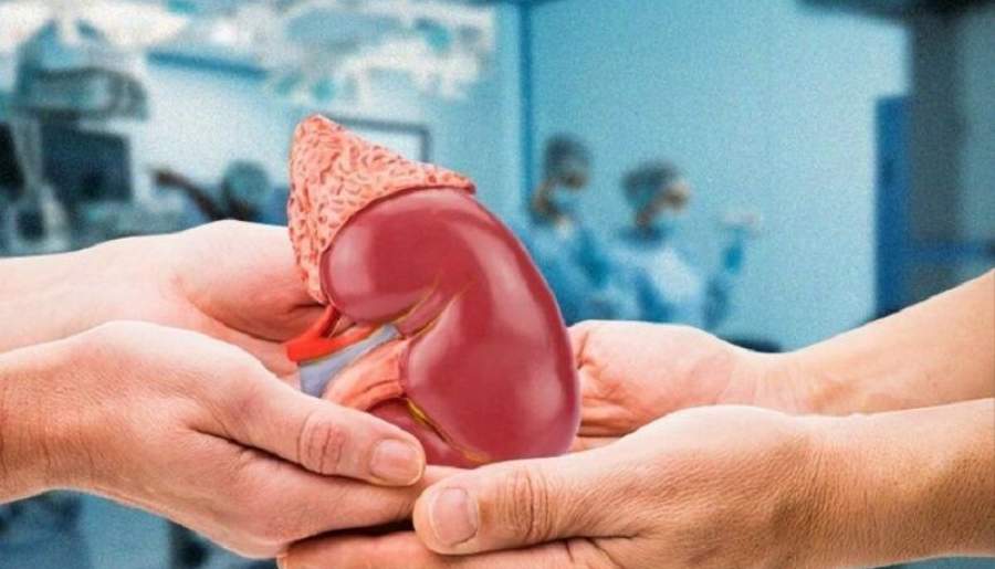 بیمار مرگ مغزی شهربابکی، نجات‌بخش ۳ زندگی | اخبار استان کرمان