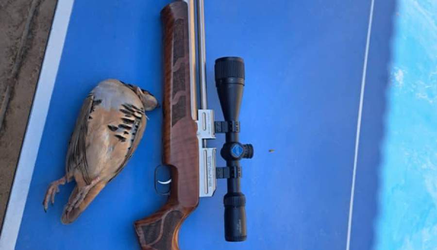 دستگیری ۲ گروه شکارچی غیرمجاز در شهرستان شهربابک | اخبار استان کرمان