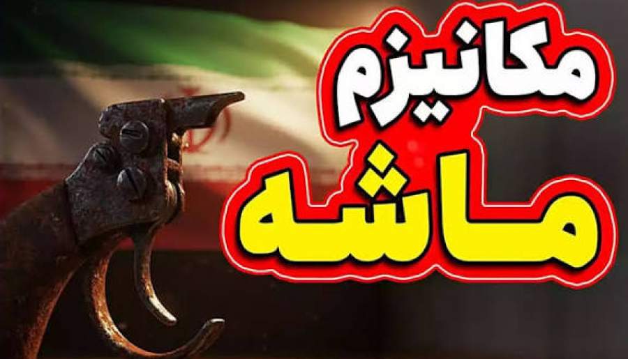 رساله‌ای در باب وجوب ماش و مکانیسم ماشه