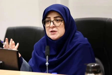 مهاجرانی: دولت می کوشد جنگ را از ایران دور کند /  پانزدهمین سال تحریم را سپری می‌کنیم