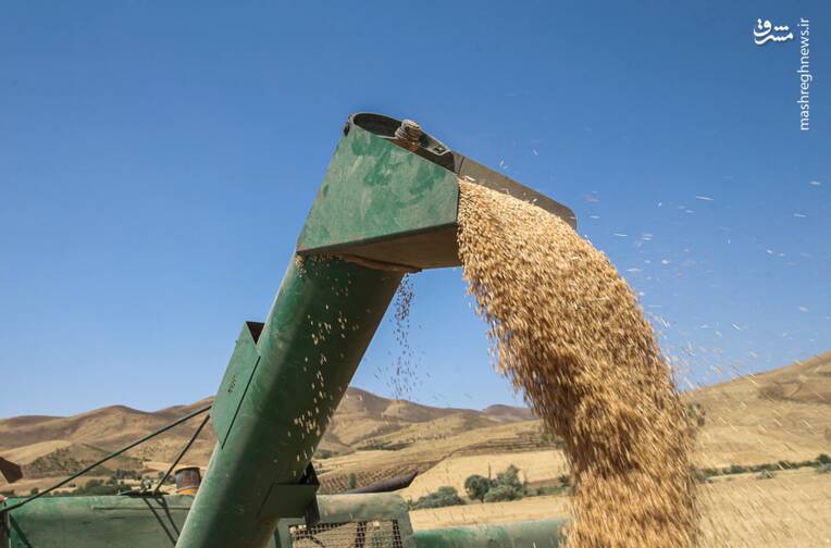 نرخ خرید تضمینی گندم ۲۹.۵۰۰ تومان تعیین شد