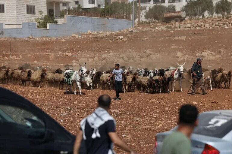 فیلم/ حمله شهرک‌نشینان اسرائیلی به کشاورزان فلسطینی