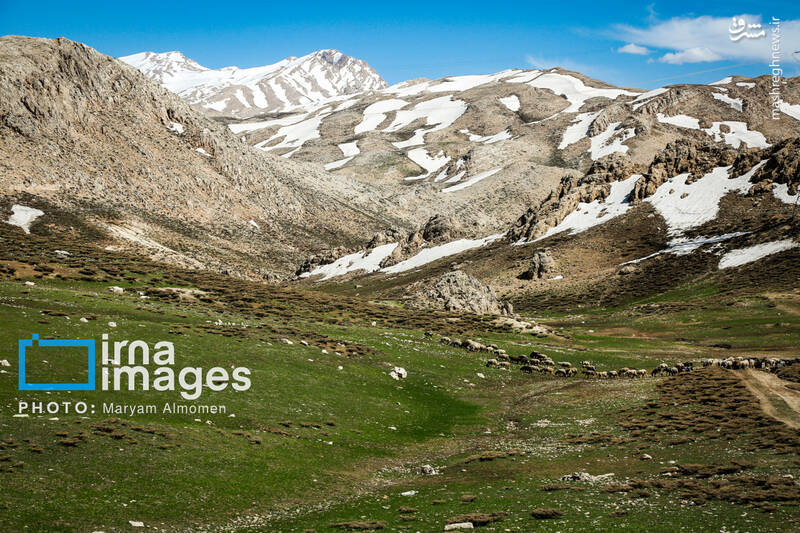 عکس/ "زندگی عشایری"