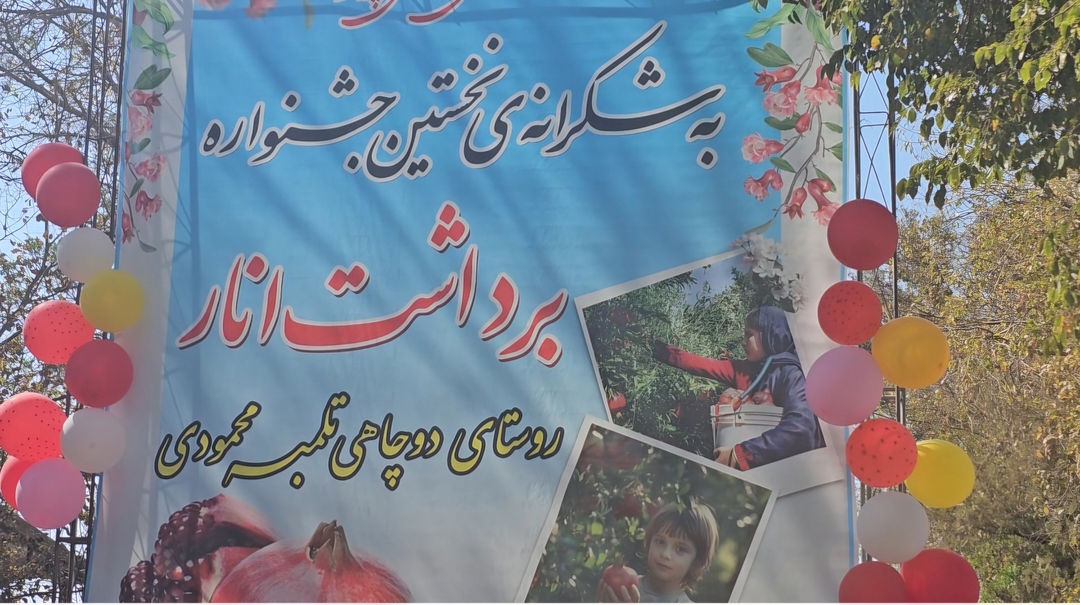 جشنواره دانه های یاقوتی درسیرجان