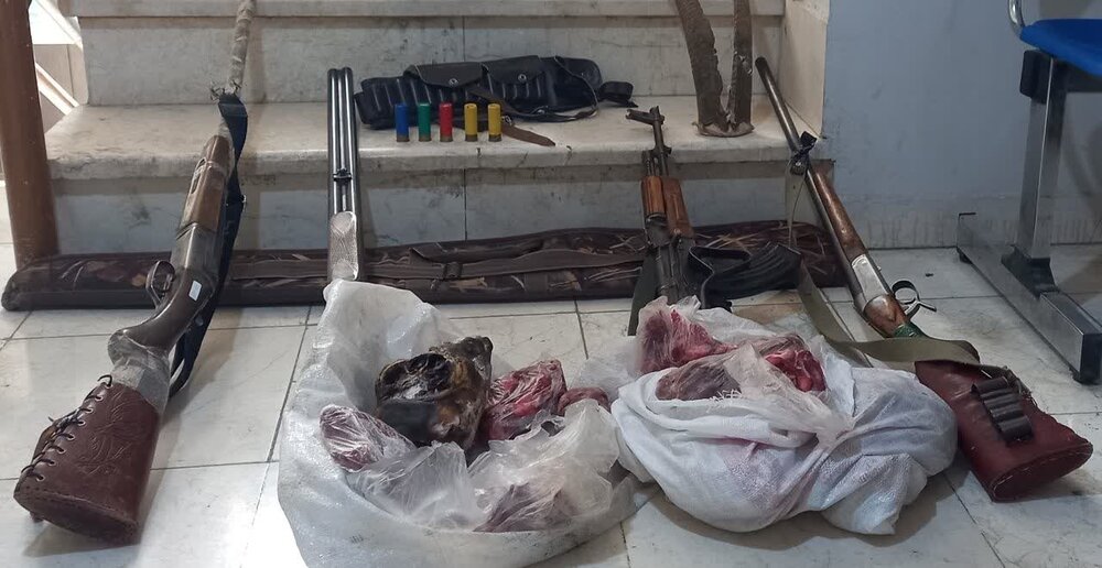 کشف ۳ لاشه کل و بز و ۴ قبضه سلاح در بم / شکارچیان سابقه‌دار در تور یگان حفاظت | اخبار کرمان و شهرستان ها
