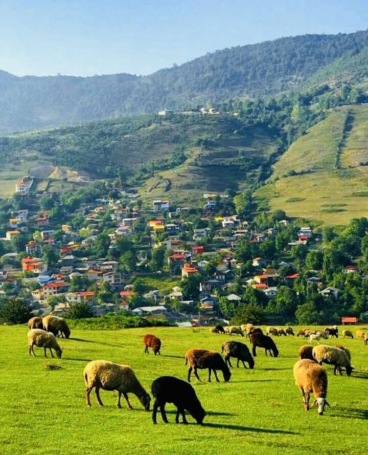 راهنمای سفر یک‌روزه به کلاردشت؛ بهترین مسیرها و دیدنی‌ها