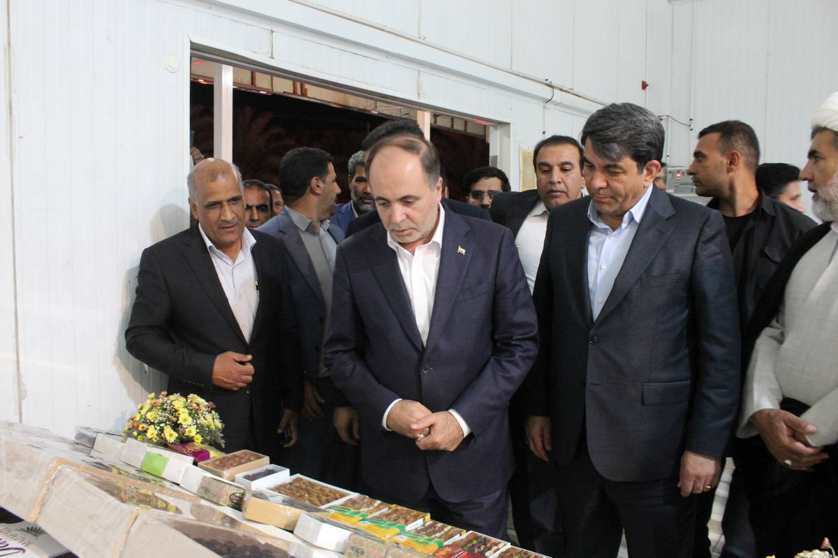 دستور فوری وزیر جهاد کشاورزی برای نجات روستای «طرز» و مقابله علمی با آفت خرما