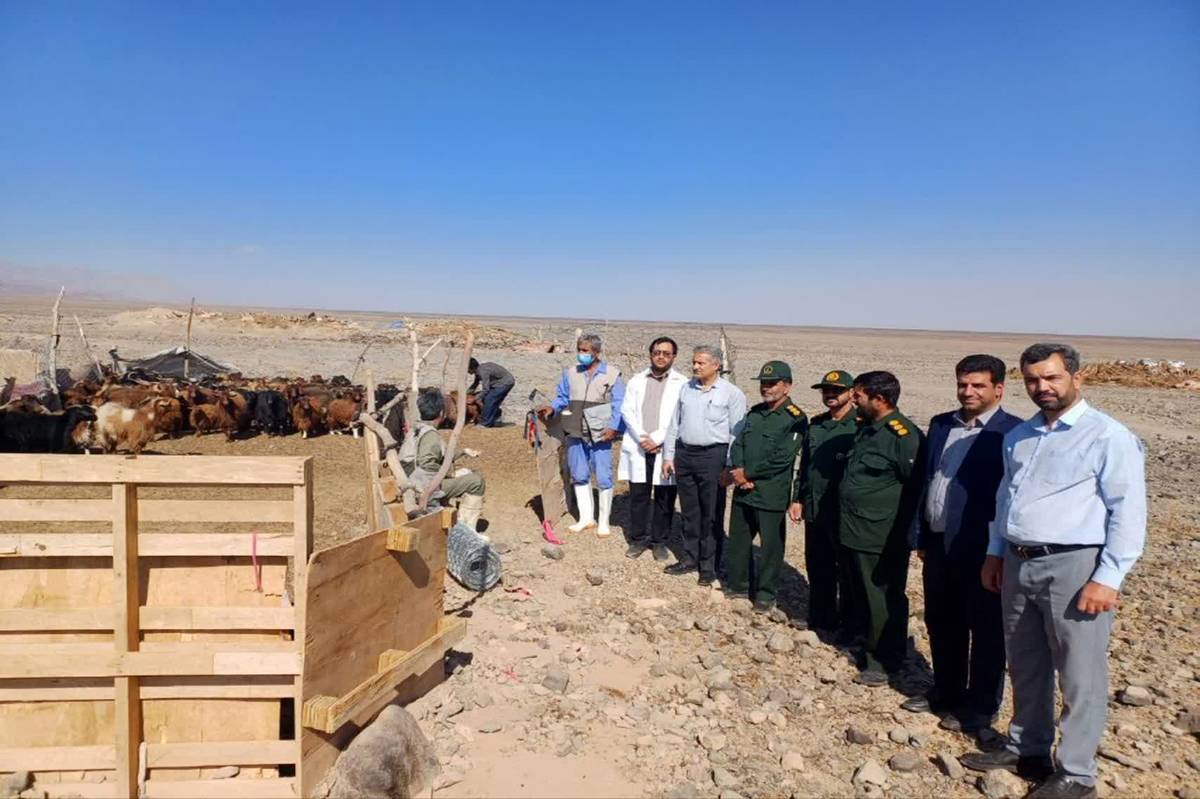 اجرای طرح واکسیناسیون دام عشایر و بازدید میدانی از مناطق دامنه سیدی بم