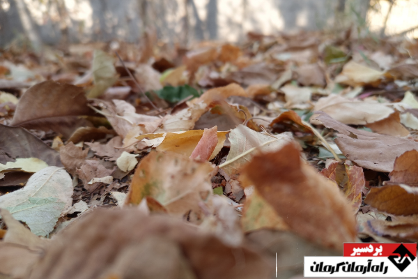 روستای بیدخوان بردسیر به روایت پاییز | اخبار استان کرمان