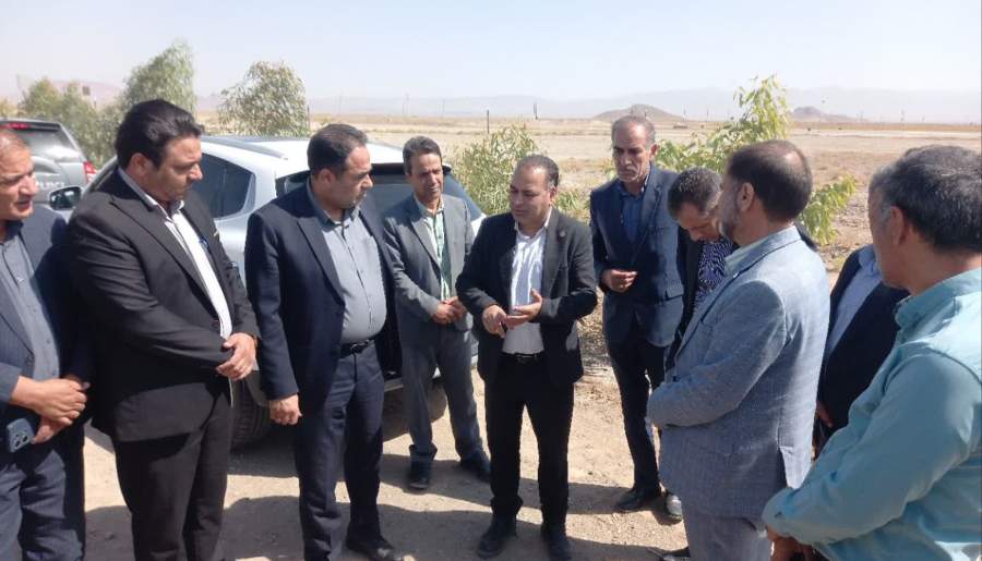 آغاز تثبیت شن‌های روان در محور زرند – سیریز | اخبار استان کرمان