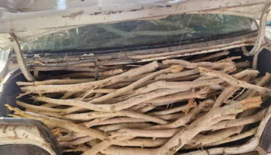 توقیف خودروی حامل چوب قاچاق تاغ در رفسنجان | اخبار استان کرمان