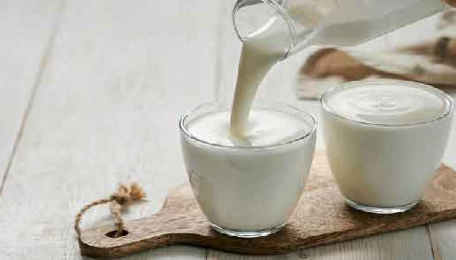 قیمت شیر گاو در رفسنجان مشخص شد | اخبار استان کرمان