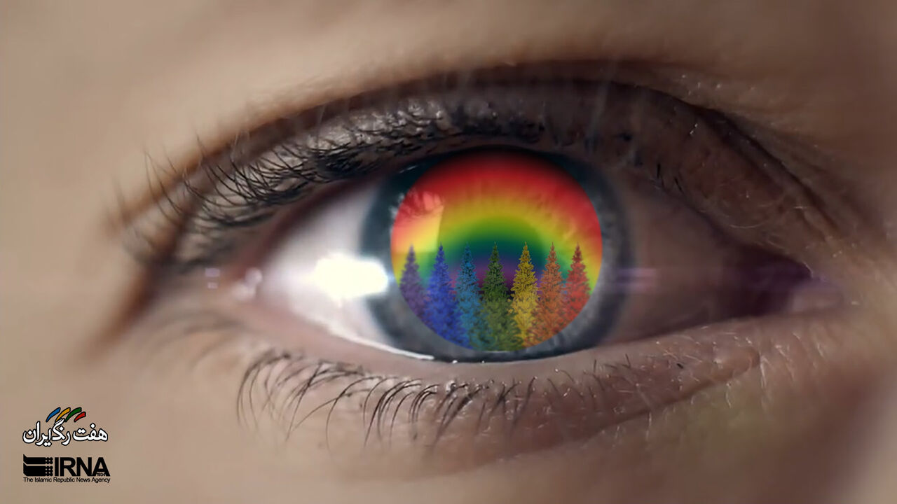 جاروبافی؛ هنری که از تبریز تا کرمان در خطر فراموشی نفس می‌کشد