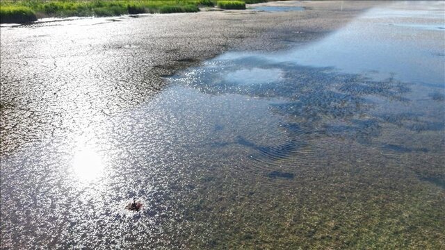 کاهش ۹۷ درصدی بارش باران در استان کرمان! | خبر کرمان