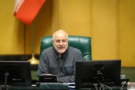 رئیس مجلس خطاب به رئیس برنامه و بودجه : من و شما نباید حرف بزنیم، باید عمل کنیم!