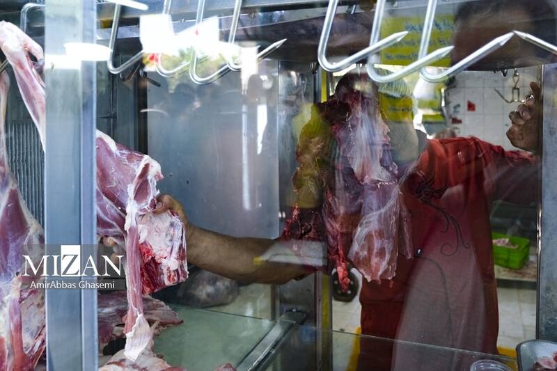 قیمت انواع گوشت ﻗﺮﻣﺰ منجمد گوﺳﺎﻟﻪ و گوﺳﻔندی اعلام شد