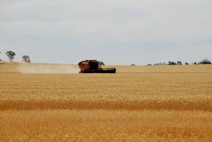 خشکسالی فصل کاشت را در ترکیه به تعویق انداخت