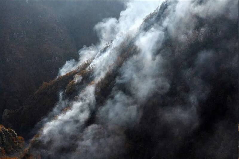 دادگستری مازندران: مسئولانی که در مهار آتش‌سوزی الیت قصور کنند، مجازات می‌شوند