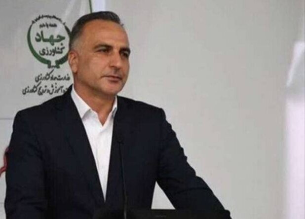 معاون وزیر: در بخش کشاورزی به ۸۰ درصد خوداتکایی رسیدیم/ لازمه تغییر الگوی کشت، استفاده از دانش فنآورانه | اخبار کرمان و شهرستان ها