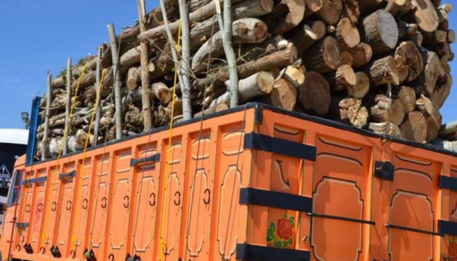 کشف ۸ تن چوب قاچاق در رودبار جنوب | اخبار استان کرمان