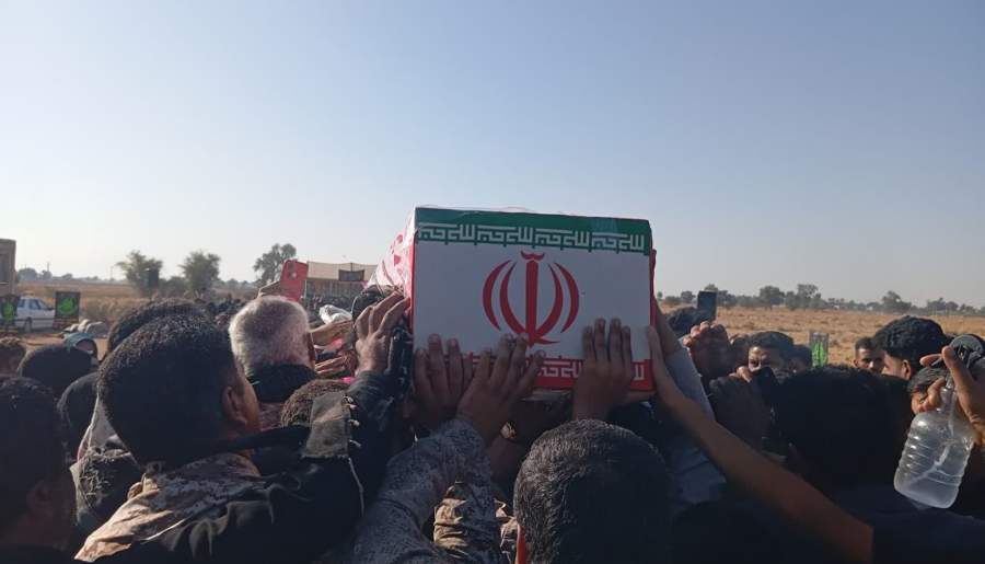 پرستو بی‌نام در آشیانه‌های جازموریان پرواز کرد | اخبار استان کرمان