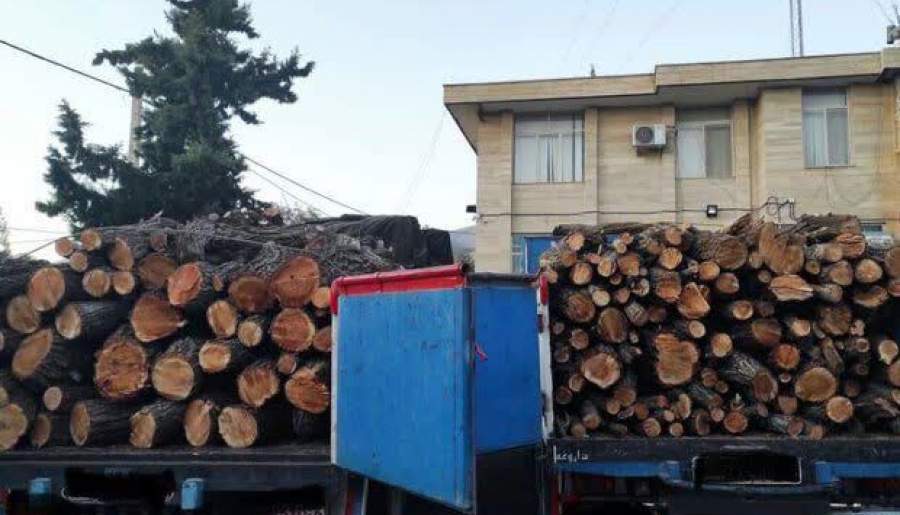 کشف ۲۵ تن چوب جنگلی قاچاق در رودبار جنوب | اخبار استان کرمان
